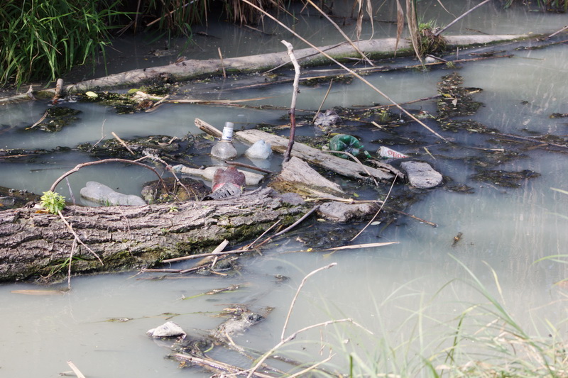 Загрязнение реки Сугоклея в Кировограде 15 августа 2013