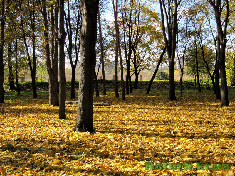 осень в парке Пушкина