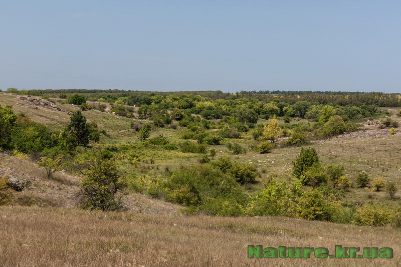 Урочище Розлитий Камінь - Кіровоградська область с. Софіївка